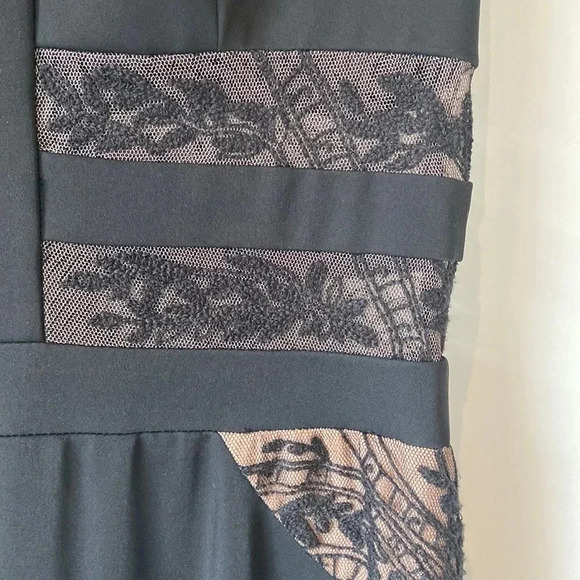 BCBGMAXAZARIA | Emyli Lace Blocked V-Neck  Dress - Picture 6 of 13